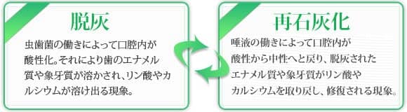 「再石灰化」が虫歯予防の重要なカギ